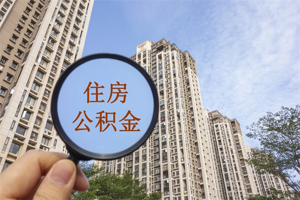 肇庆提取公积金正规中介（提取公积金 正规中介）